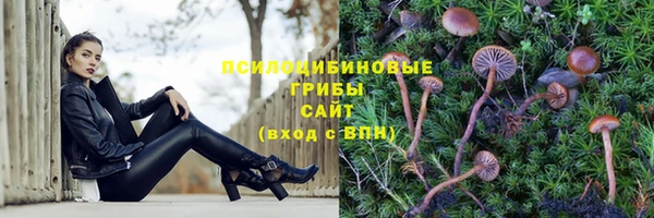 прущая мука Володарск