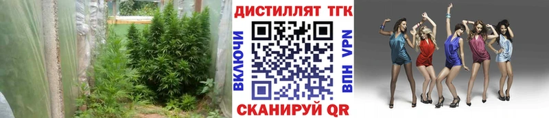 ТГК THC oil цена Псков