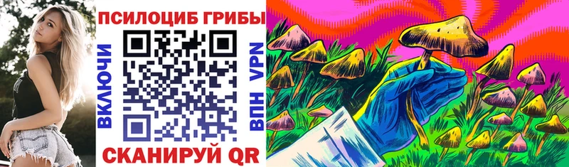 Псилоцибиновые грибы Psilocybe  Псков 